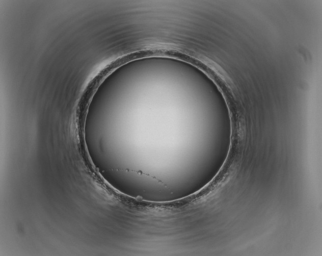 X0000113151022200909041228