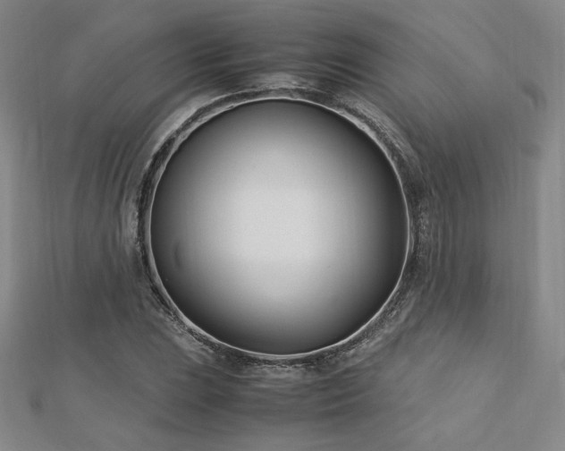 X0000113151023200909041228