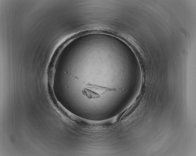 X0000113151024200909041228