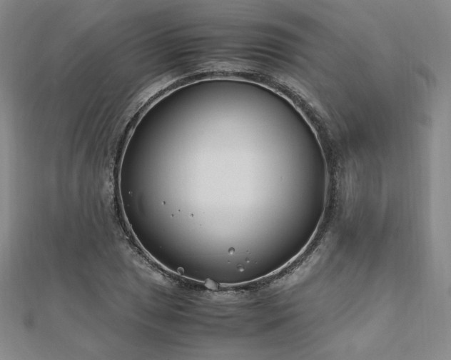 X0000113151025200909041228