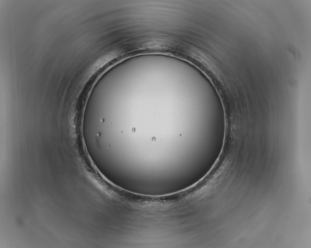 X0000113151026200909041228