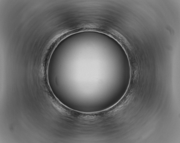 X0000113151027200909041228