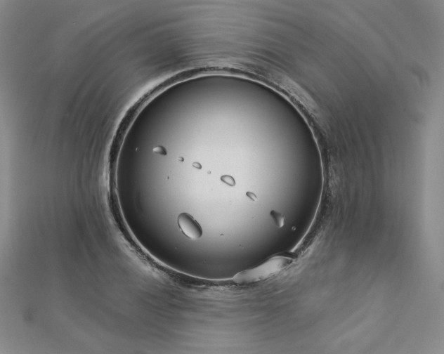 X0000113151028200909041228