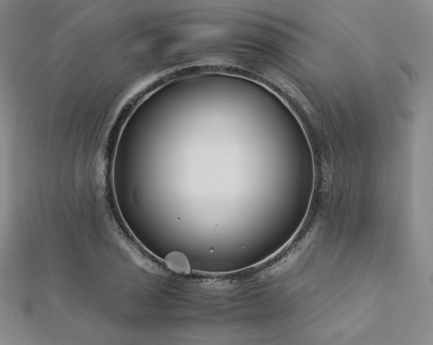 X0000113151029200909041228