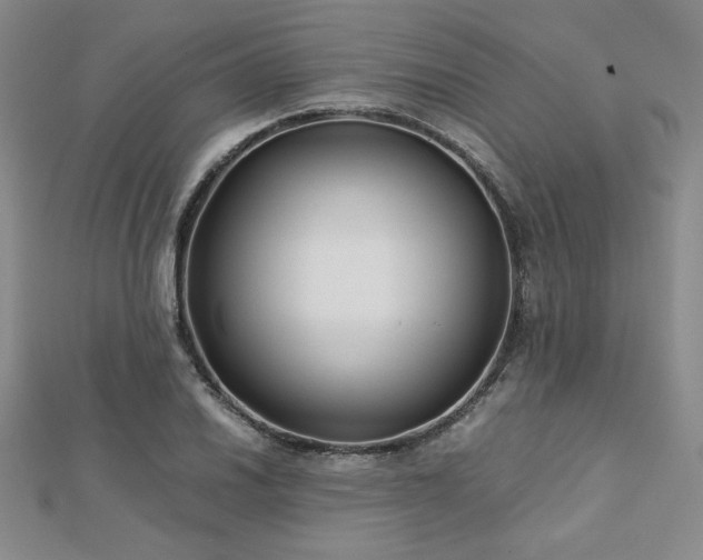 X0000113151030200909041228