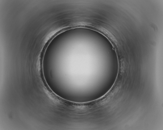 X0000113151031200909041228