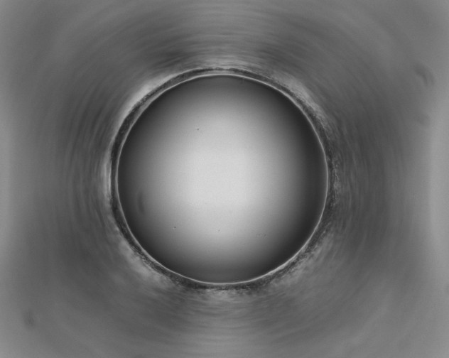 X0000113151032200909041228