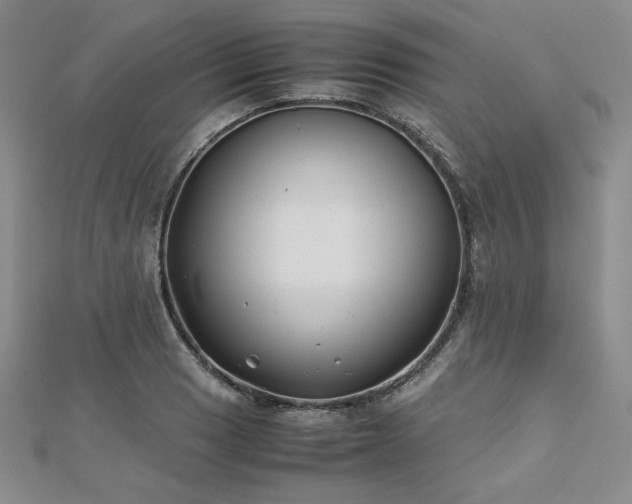 X0000113151033200909041229