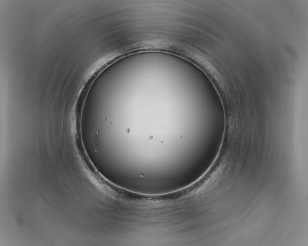 X0000113151034200909041229