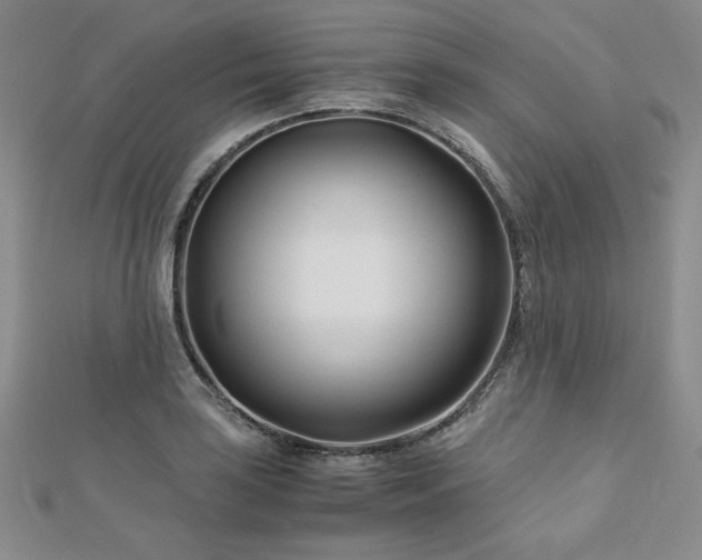 X0000113151035200909041229