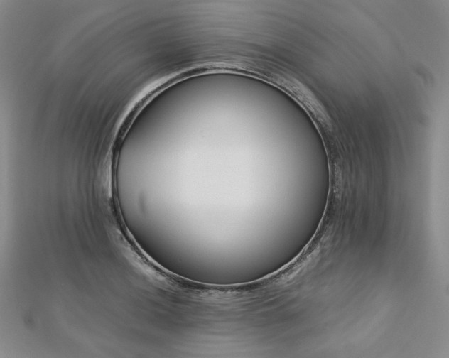 X0000113151036200909041229