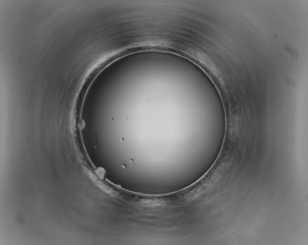 X0000113151037200909041229