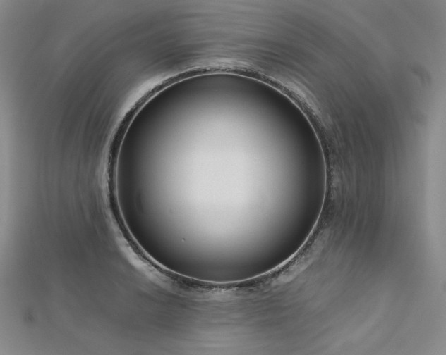 X0000113151038200909041229