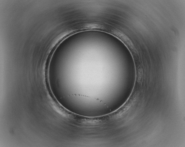 X0000113151039200909041229