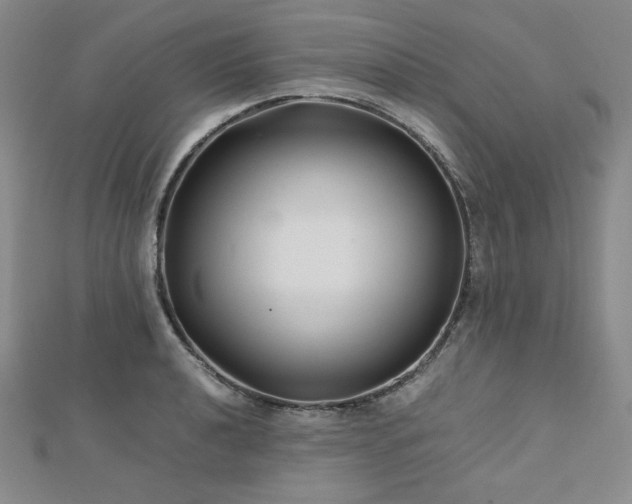 X0000113151040200909041229