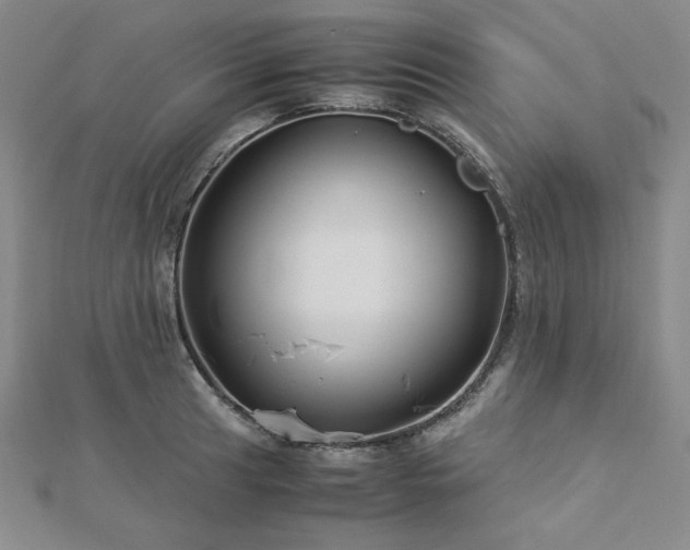 X0000113151041200909041229