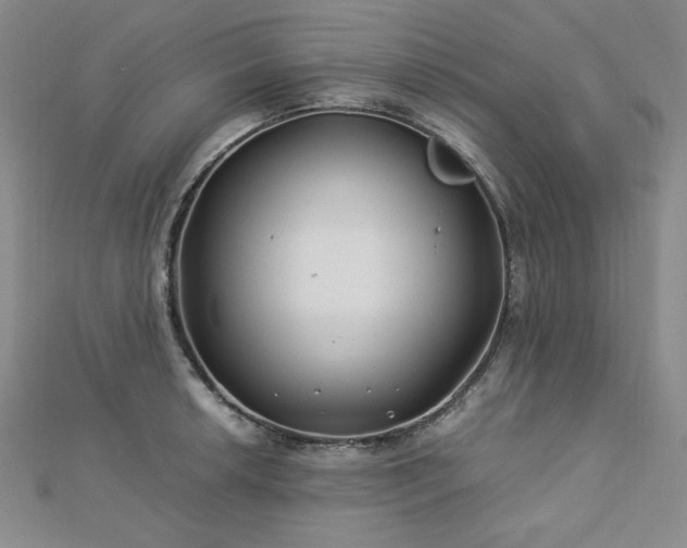 X0000113151042200909041229