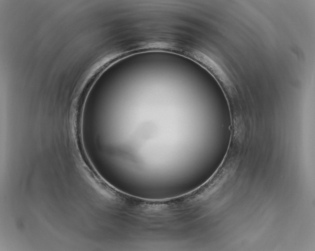 X0000113151043200909041229