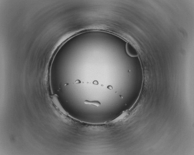 X0000113151044200909041229