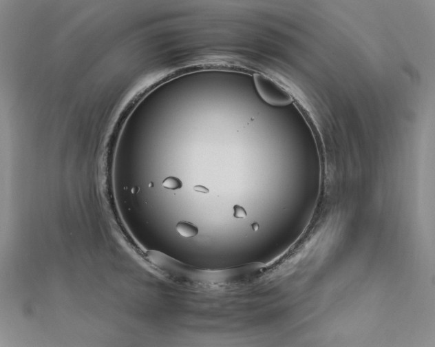 X0000113151045200909041229