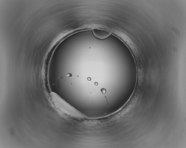 X0000113151046200909041229