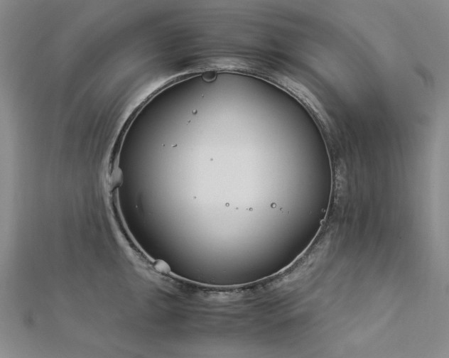 X0000113151047200909041229