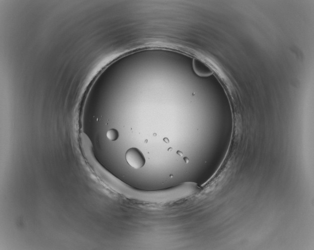 X0000113151048200909041229