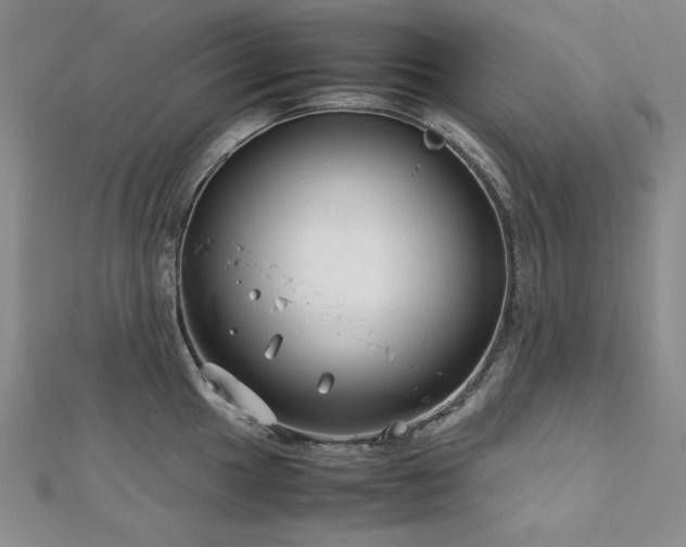 X0000113151049200909041229