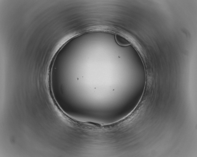 X0000113151050200909041229