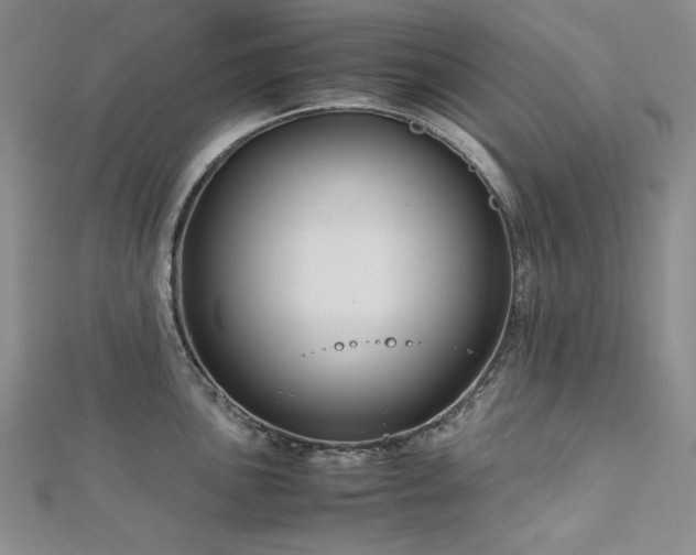 X0000113151051200909041229