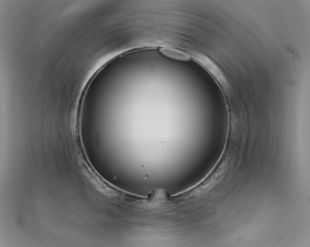 X0000113151052200909041229