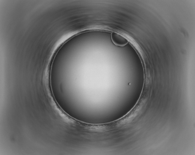 X0000113151053200909041229