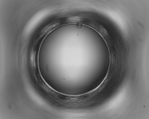 X0000113151054200909041229