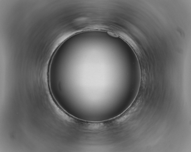 X0000113151055200909041229