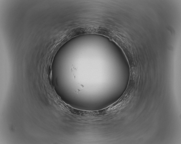 X0000113151057200909041228