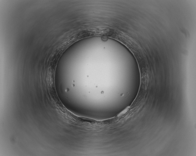 X0000113151058200909041228