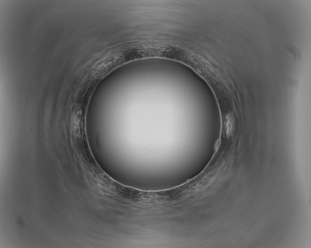 X0000113151059200909041228