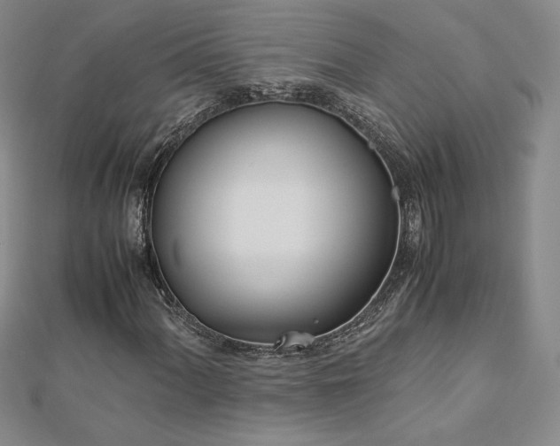 X0000113151060200909041228