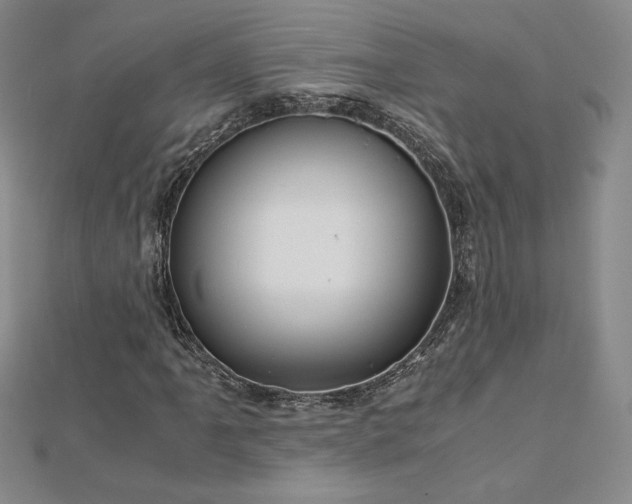 X0000113151061200909041228