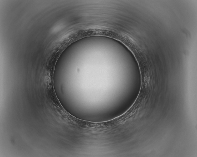 X0000113151062200909041228