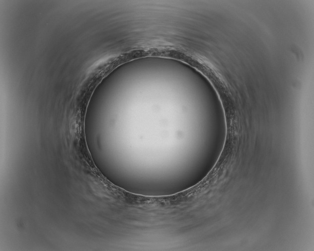 X0000113151063200909041228