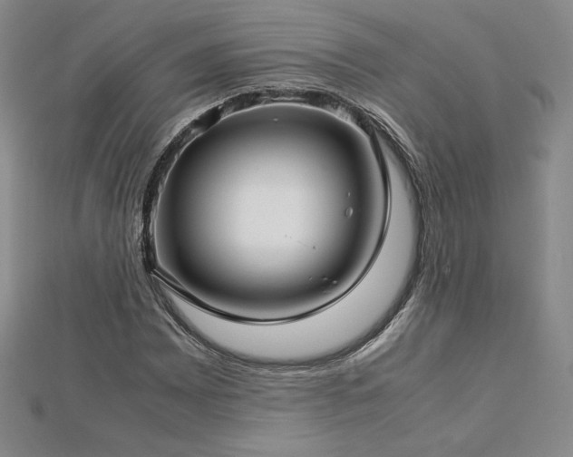 X0000113151065200909041228