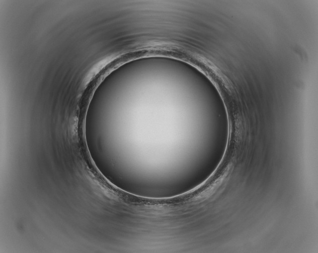 X0000113151066200909041228