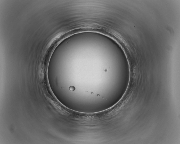 X0000113151067200909041228