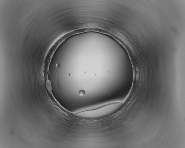 X0000113151068200909041228