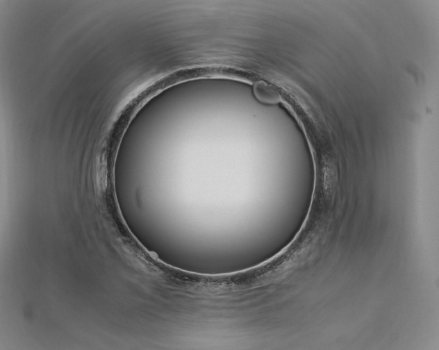 X0000113151069200909041228