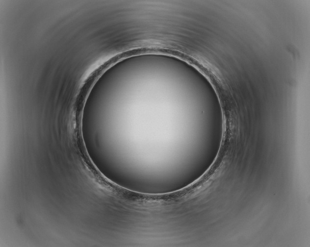 X0000113151070200909041228