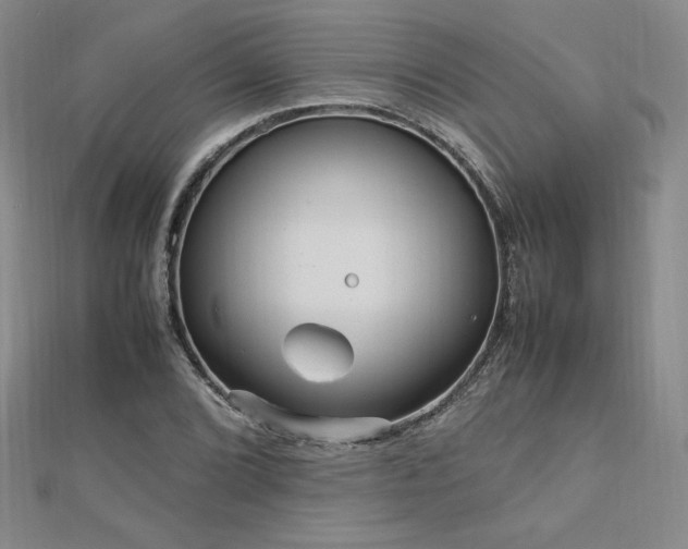 X0000113151072200909041228