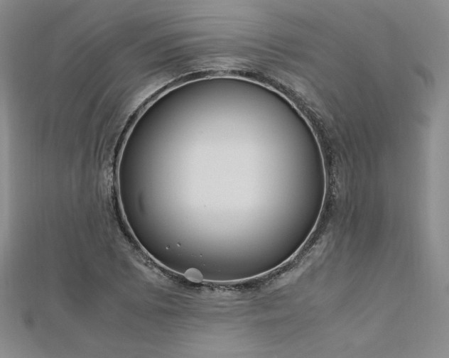 X0000113151073200909041228