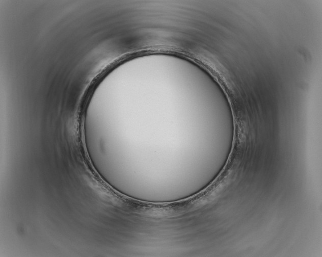 X0000113151074200909041228